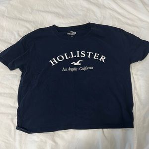 Hollister California T-Shirt (Small)